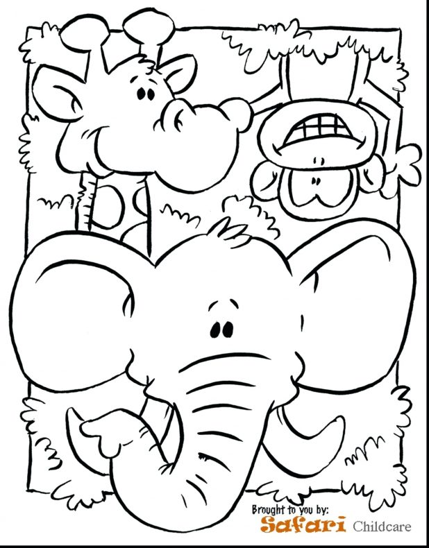618x790 Jungle Animals Coloring Pages 4328