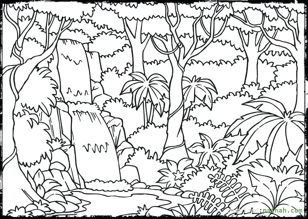 Jungle Coloring Page Jungle Junction Coloring Pages 1024x728 Jungle Coloring Page Jungle Junction Coloring Pages
