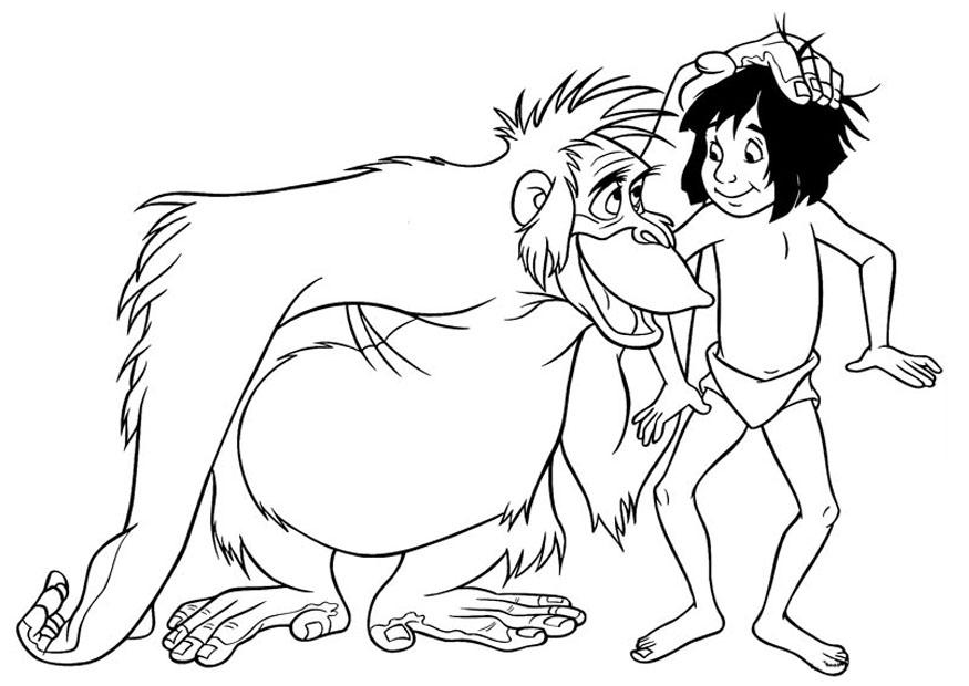 Coloring Page Jungle Book 875x620 Coloring Page Jungle Book