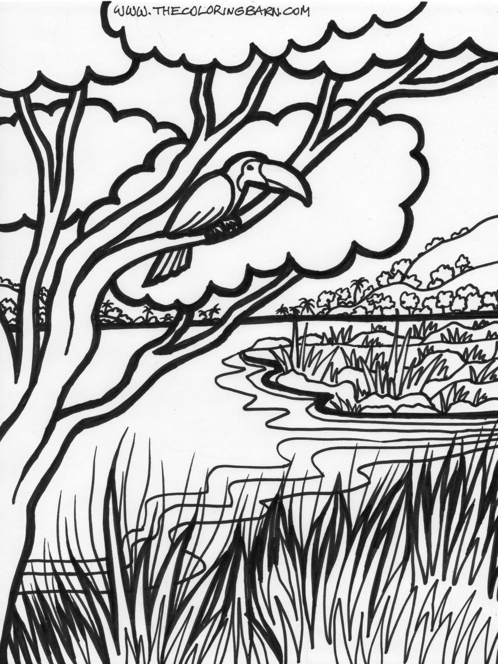 1000x1332 Jungle Coloring Pages (22) Coloring Kids