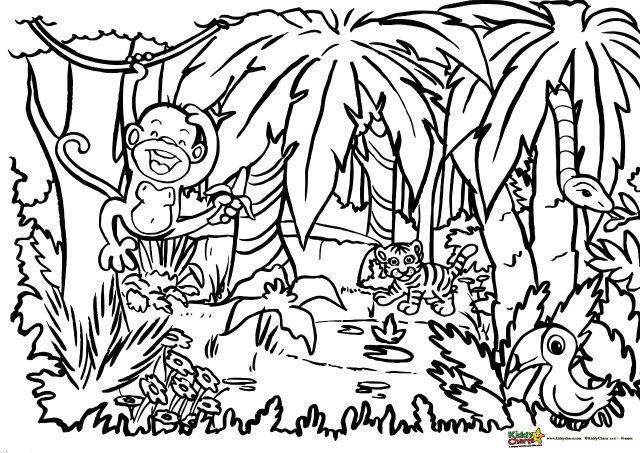640x453 Jungle Coloring For Adults And Kids