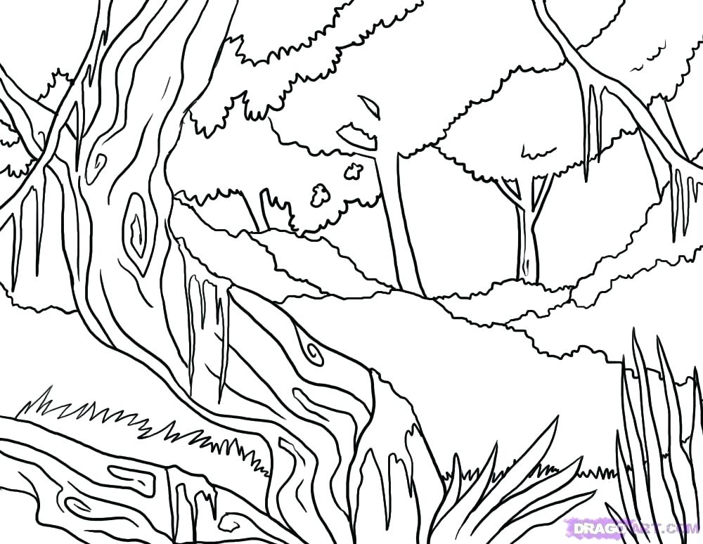 1000x774 Rainforest Colouring Cute Jungle Coloring Page Contemporary