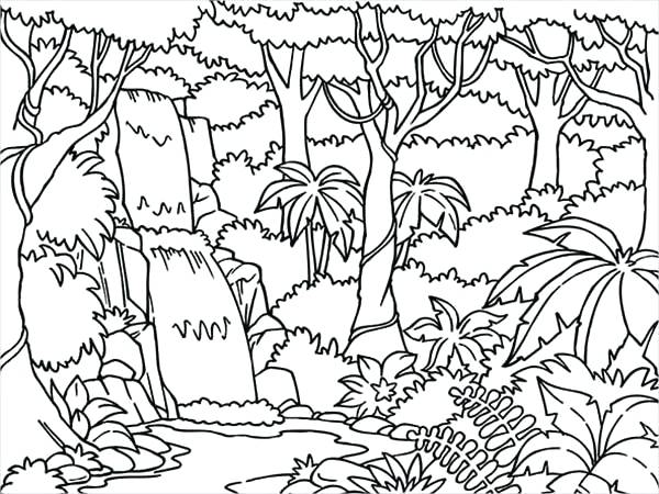 600x450 Jungle Coloring Page Coloring Orangutan Jungle Printable Pages