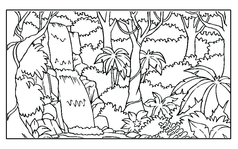 800x500 And And Jungle Animals Coloring Page Free To Print Out Printable