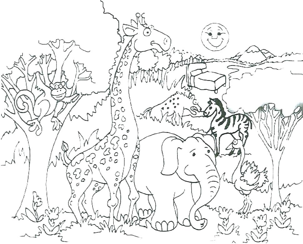 970x780 Snake Animal Coloring Pages Free Of Jungle Printable Snake Animal
