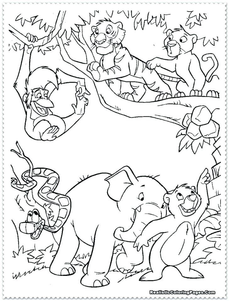 729x959 Jungle Animal Coloring Pages