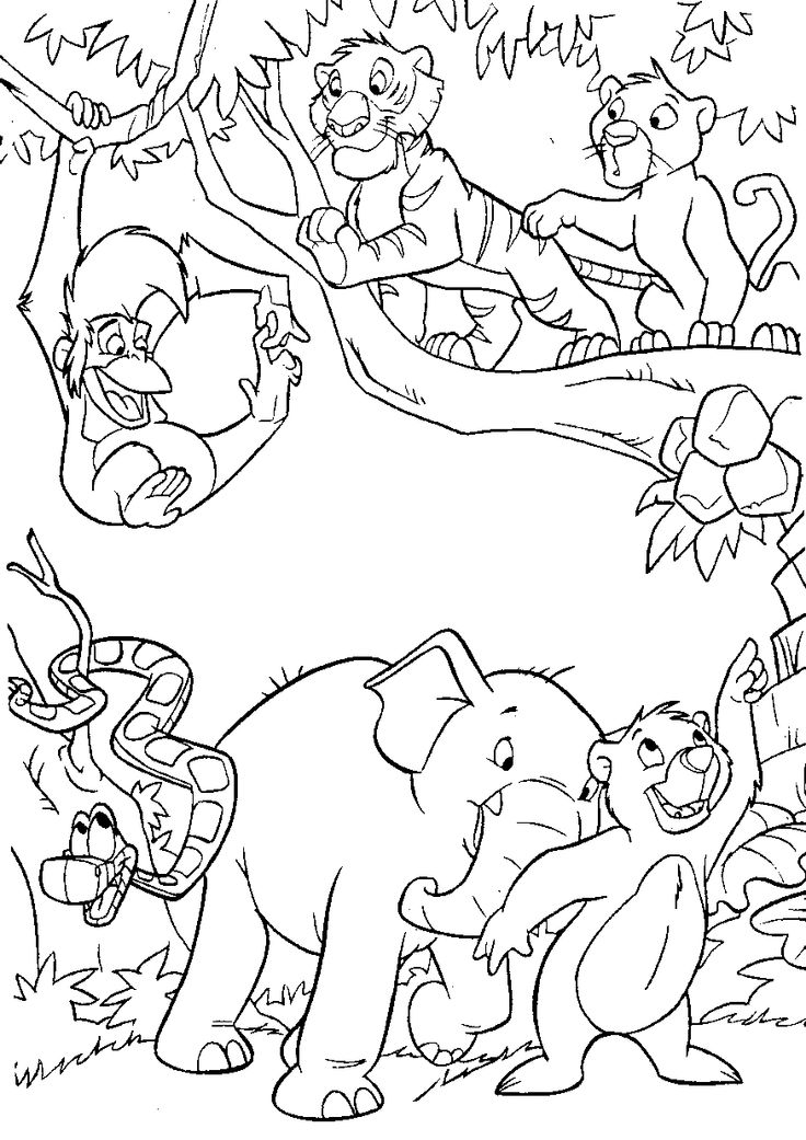 736x1041 Coloring Pages. Jungle Coloring Book