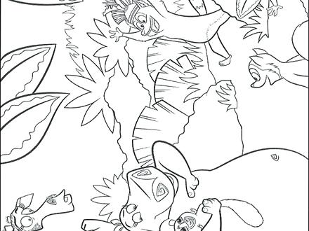 440x330 Jungle Animals Coloring Pages With 9 Jungle Animals Coloring Pages