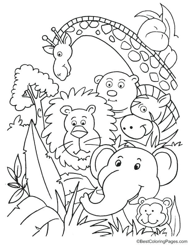 612x792 Jungle Coloring Page Jungle Animals Coloring Page Jungle Animal