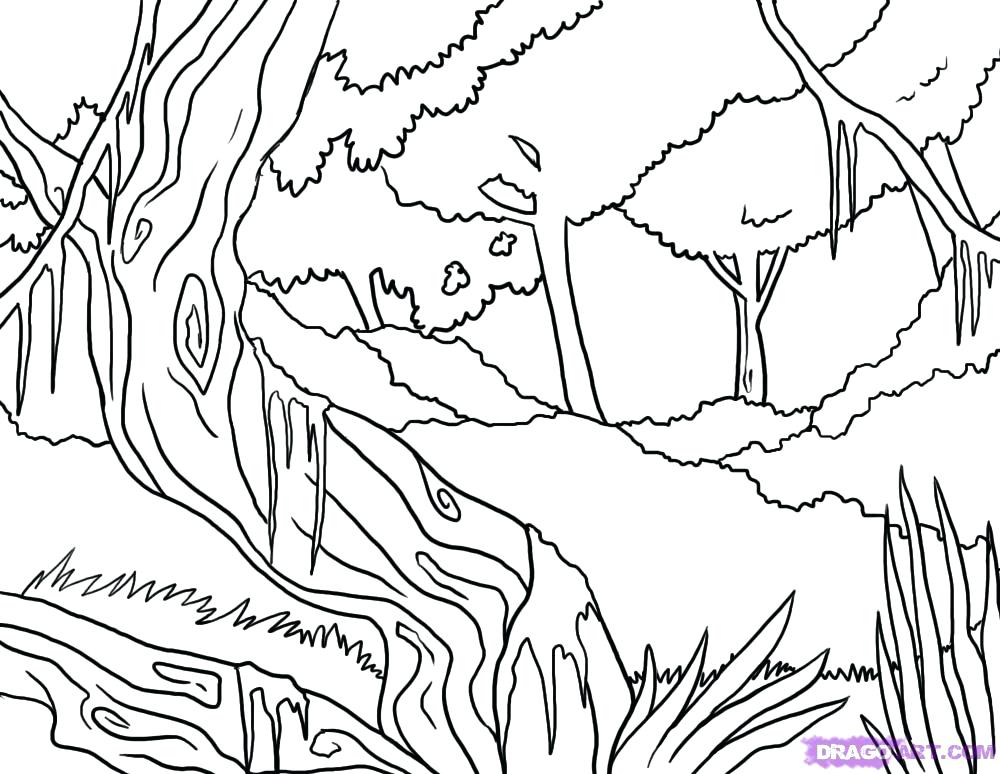 1000x774 Jungle Coloring Sheets Pictures Of Jungle Animals Jungle Animal