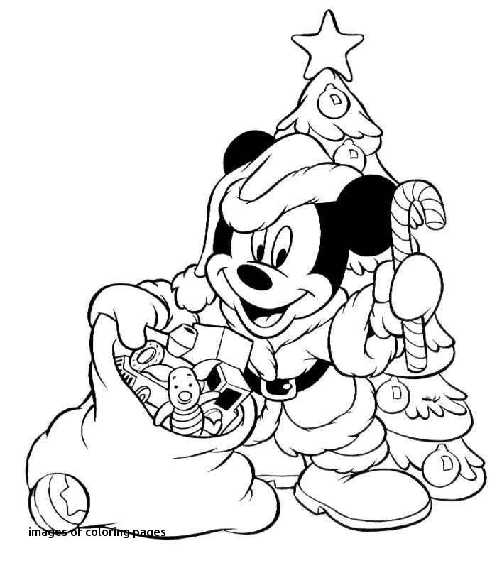 Elegant Jungle Coloring Pages Baby Jungle Animals Coloring Pages 700x800 Elegant Jungle Coloring Pages Baby Jungle Animals Coloring Pages