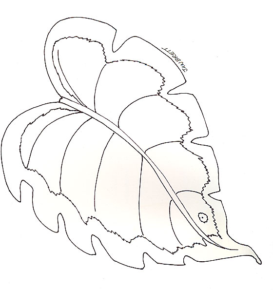 Rainforest Leaves Coloring Pages 560x595 Rainforest Leaves Coloring Pages