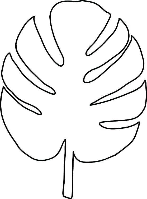 With Leaf Printable Coloring Pages Free Printable Jungle Leaf 557x753 With Leaf Printable Coloring Pages Free Printable Jungle Leaf