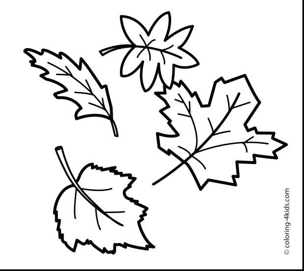 Jungle Leaves Coloring Pages at GetColorings.com | Free printable ...