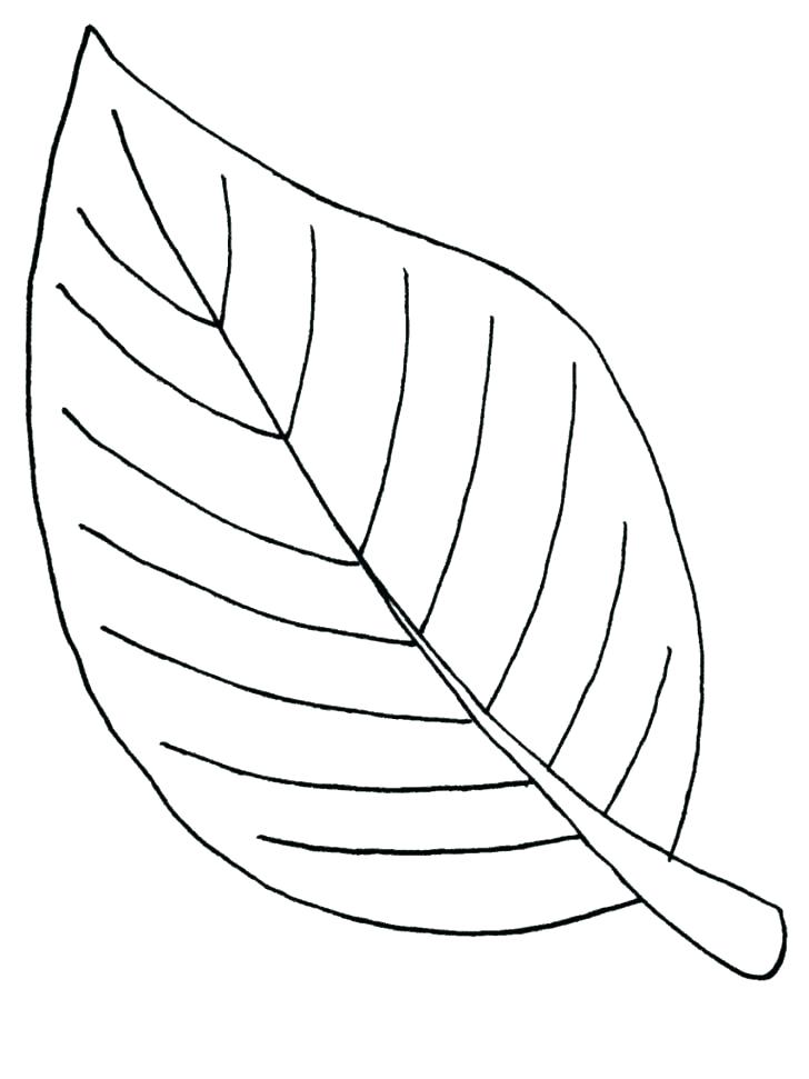 Coloring Pages Leaves Leaf Coloring Coloring Page Leaf 728x971 Coloring Pages Leaves Leaf Coloring Coloring Page Leaf