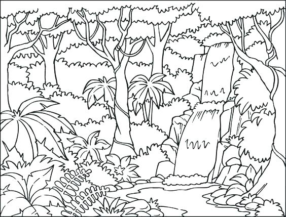 564x429 Jungle Coloring Page Jungle Junction Coloring Pages