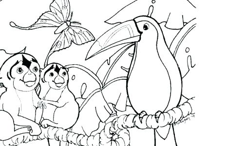 470x300 Tropical Rainforest Coloring Page Rain Forest Coloring Pages