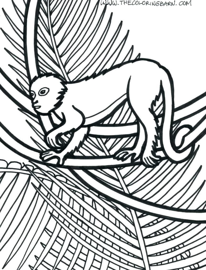 863x1131 Coloring Pages ~ Jungle Animals Coloring Pages Plants Page Monkey