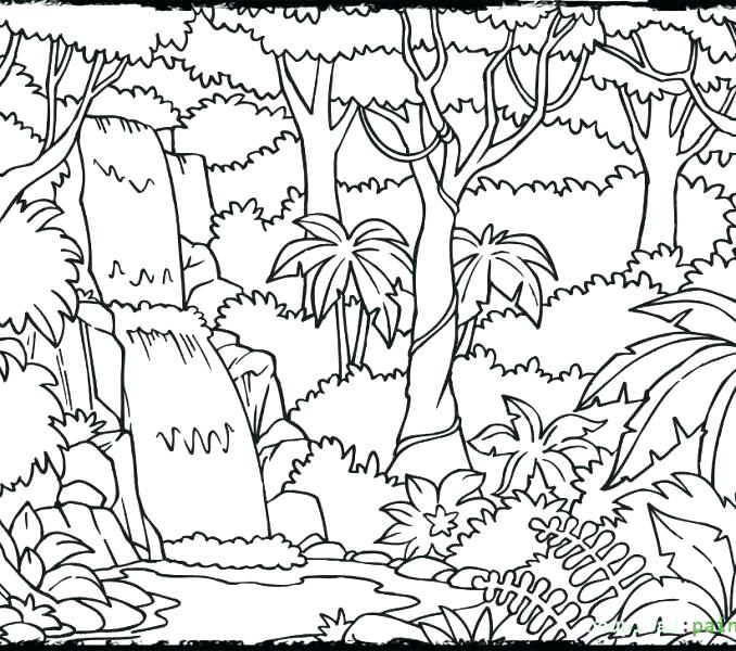 Jungle Coloring Page Jungle Coloring Page Jungle Printable 678x600 Jungle Coloring Page Jungle Coloring Page Jungle Printable