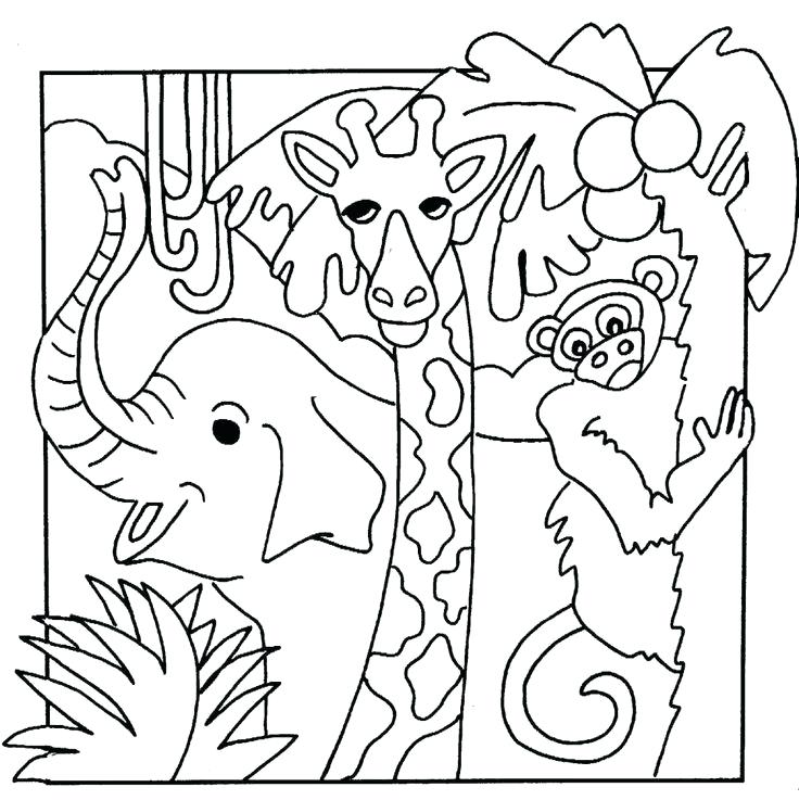 Jungle Printable Coloring Pages Jungle Printable Coloring Pages 736x737 Jungle Printable Coloring Pages Jungle Printable Coloring Pages