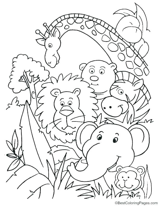 Zoo Animal Coloring Pages Also By Zoo Animal Coloring Pages Free 612x792 Zoo Animal Coloring Pages Also By Zoo Animal Coloring Pages Free
