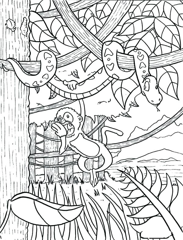 Coloring Pages And Coloring Books. Jungle Printable Coloring Pages 600x786 Coloring Pages And Coloring Books. Jungle Printable Coloring Pages