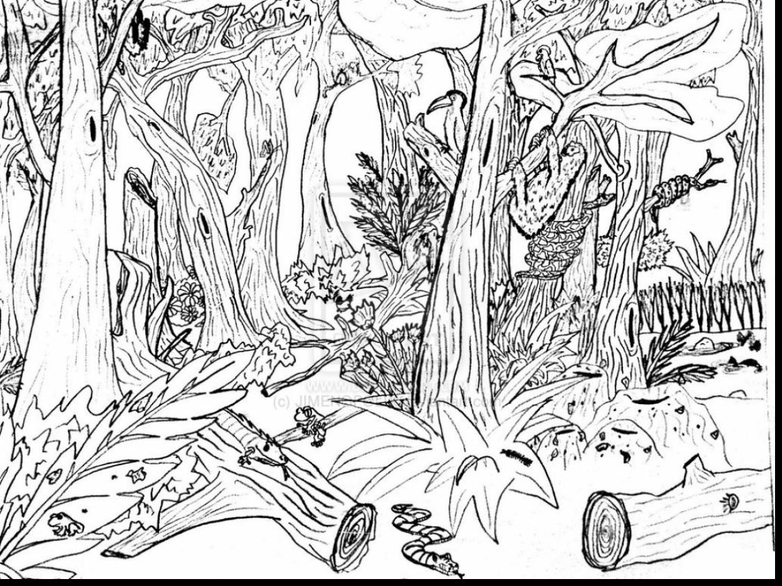 1126x844 Liberal Rainforest Scene Coloring Pages Jungle Page Free Printable