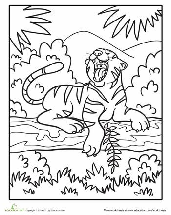350x440 New Jungle Animals Coloring Pages 373 Best Jungle Ideas Images