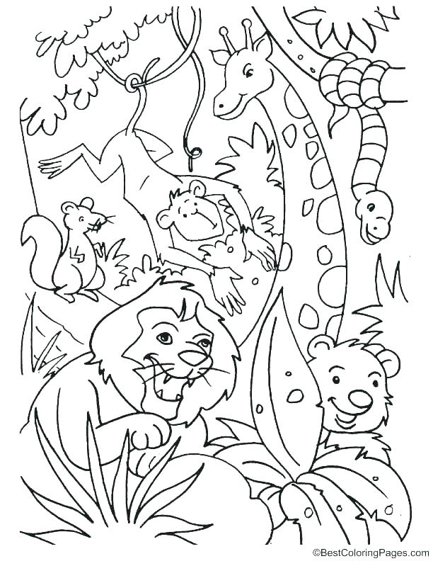 612x792 Jungle Coloring Pages Printable Vanda
