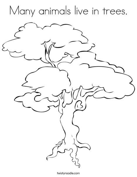 468x605 Many Animals Live In Trees Coloring Page