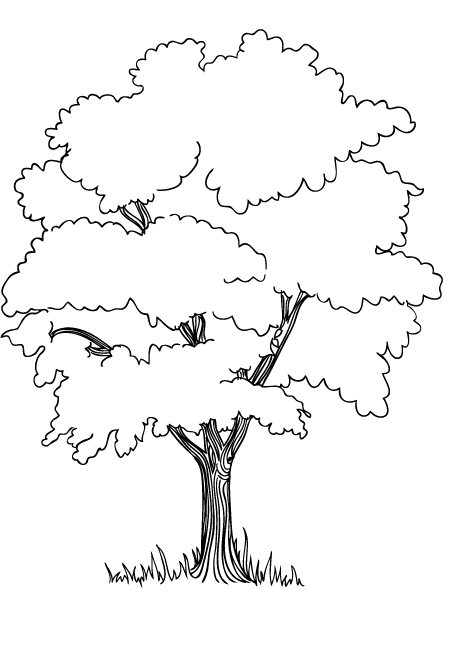 464x671 The Trees In The Jungle Coloring Pages Embroidery Stuff
