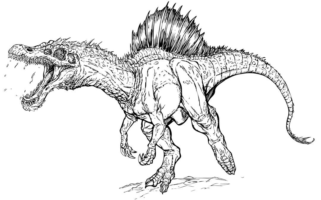 Jurassic Park Coloring Pages Spinosaurus 1080x674 Jurassic Park Coloring Pages Spinosaurus