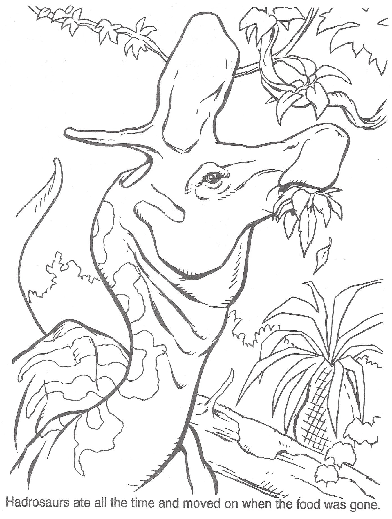 Remarkable Velociraptor Coloring Page Gallery 1351x1786 Remarkable Velociraptor Coloring Page Gallery