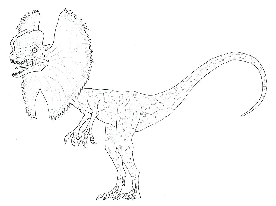 Velociraptor Coloring Pages Coloring Page Coloring Page Coloring 900x672 Velociraptor Coloring Pages Coloring Page Coloring Page Coloring