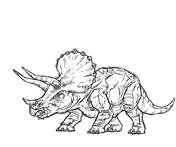 615x513 Coloring Prehistoric Coloring Page Park Coloring Pages As Well As