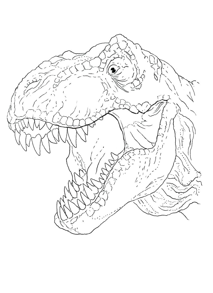 900x1238 Coloring Pages ~ Jurassic Park Coloring Pages 4 Free Printable T