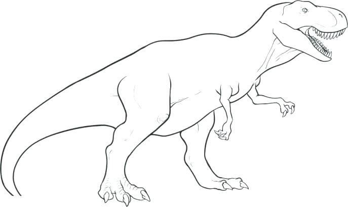 T Rex Coloring Page Coloring Page Medium Size Of Coloring To Draw 687x409 T Rex Coloring Page Coloring Page Medium Size Of Coloring To Draw