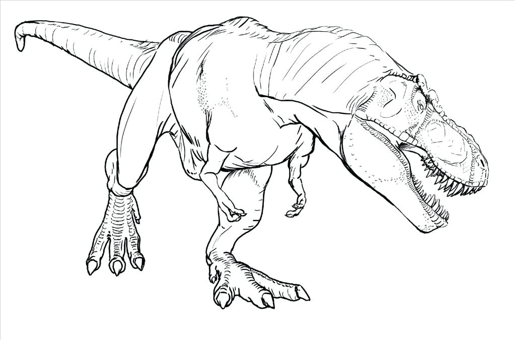 T Rex Coloring Page T Coloring Pages Rex Coloring Pages Www 1023x675 T Rex Coloring Page T Coloring Pages Rex Coloring Pages Www