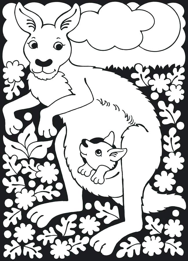 Kangaroo Color Page Kangaroo Coloring Pages Nice Kangaroo Coloring 650x904 Kangaroo Color Page Kangaroo Coloring Pages Nice Kangaroo Coloring