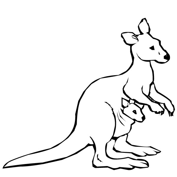 Australian Kangaroo And Baby Kangaroo Coloring Page 600x600 Australian Kangaroo And Baby Kangaroo Coloring Page