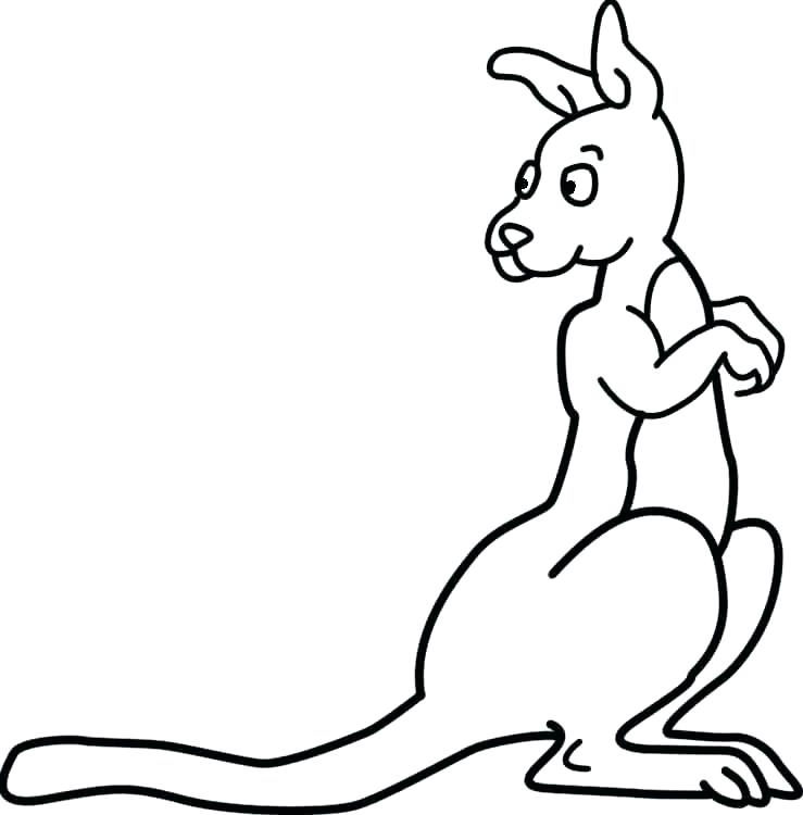 Randy Orton Coloring Pages Coloring Pages Info Kangaroo Coloring 739x750 Randy Orton Coloring Pages Coloring Pages Info Kangaroo Coloring