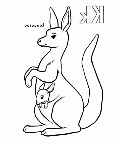 Incredible Lovely Kangaroo Coloring Sheet 490x600 Incredible Lovely Kangaroo Coloring Sheet