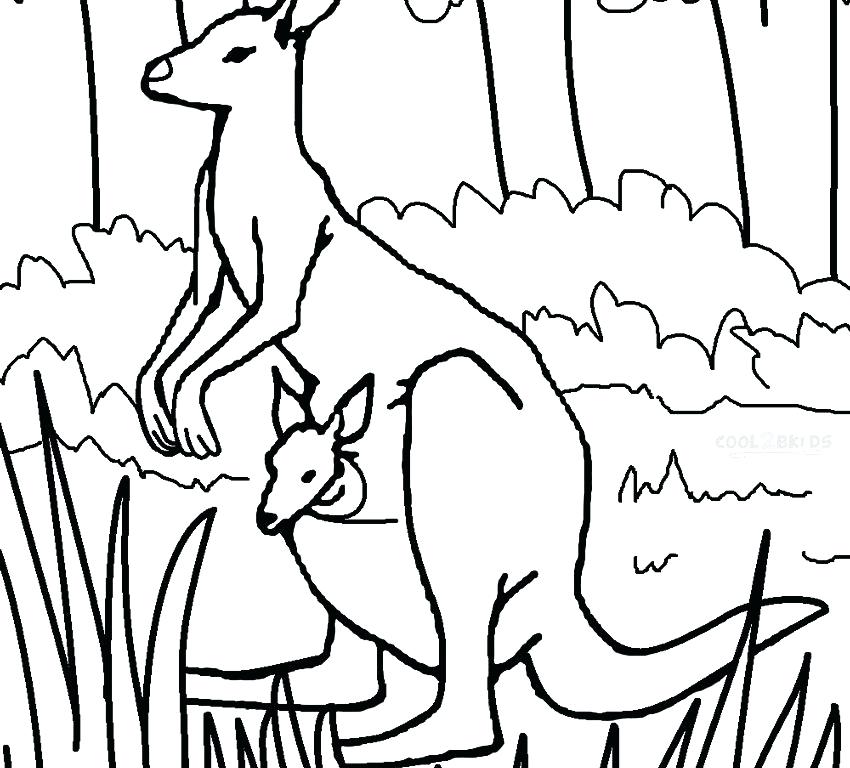 Kangaroo Coloring Pages For Kids at GetColorings.com | Free printable ...