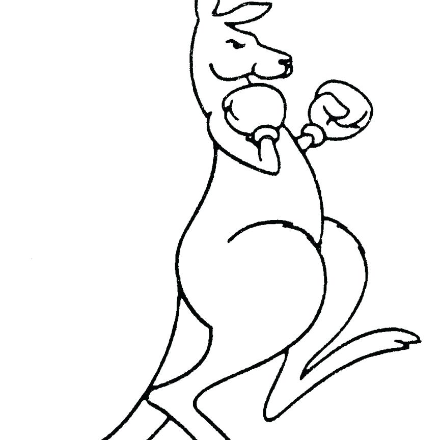 866x864 Kangaroo Color Page Cartoon Of Kangaroo Coloring Page Animals