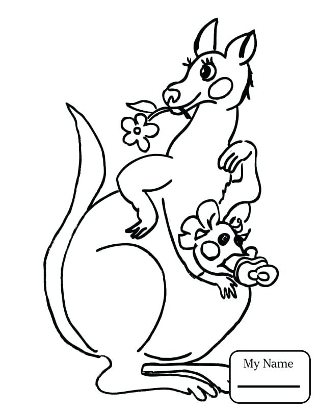 624x808 Kangaroo Coloring Page Kangaroo Coloring Page Kangaroo Coloring