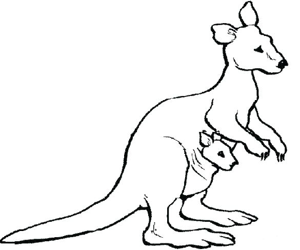 585x487 Kangaroo Coloring Page Kangaroo Coloring Pages Kangaroo Coloring
