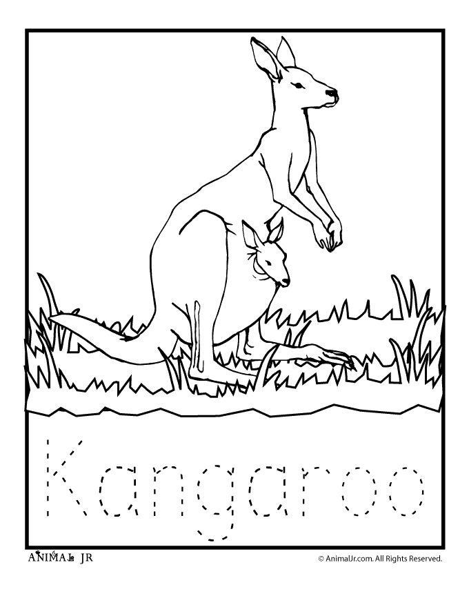 680x880 Kangaroo Coloring Pages Printable