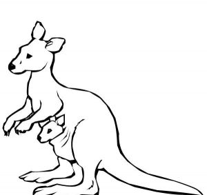 Kangaroo Coloring Pages For Kids at GetColorings.com | Free printable ...