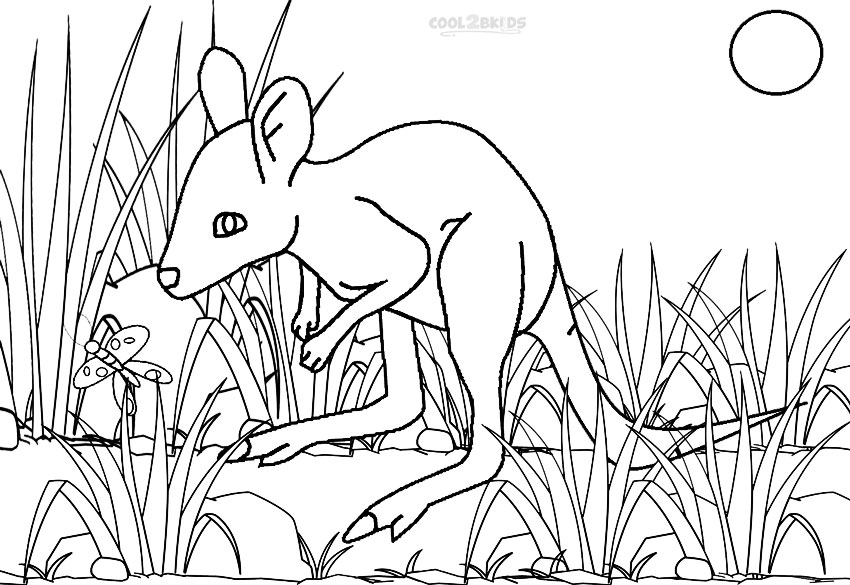 850x585 Printable Kangaroo Coloring Pages For Kids Cool2bkids