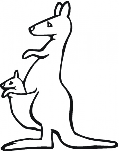 414x525 Baby Kangaroo Coloring Pages For Kids Coloring